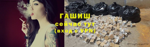 бошки Гусев
