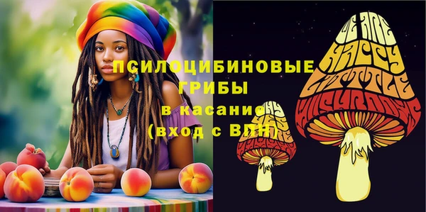 бошки Гусев