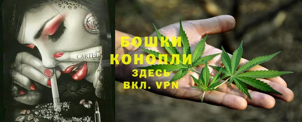 бошки Гусев