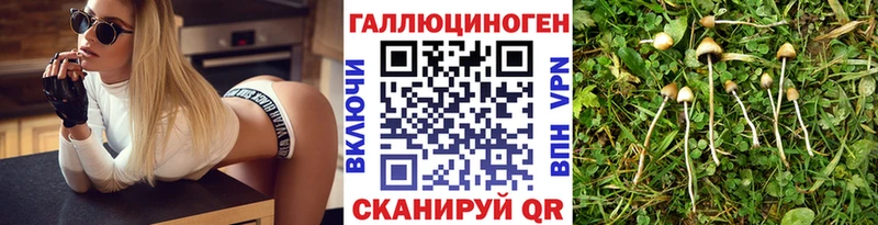 Купить где  Звенигород  Псилоцибиновые грибы мухоморы 